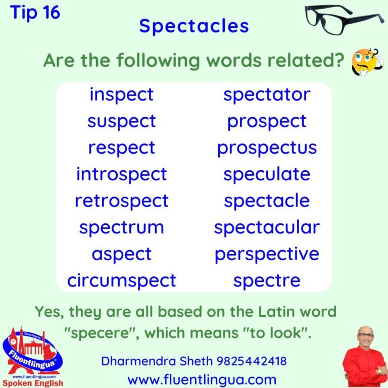 Spect — Etymology