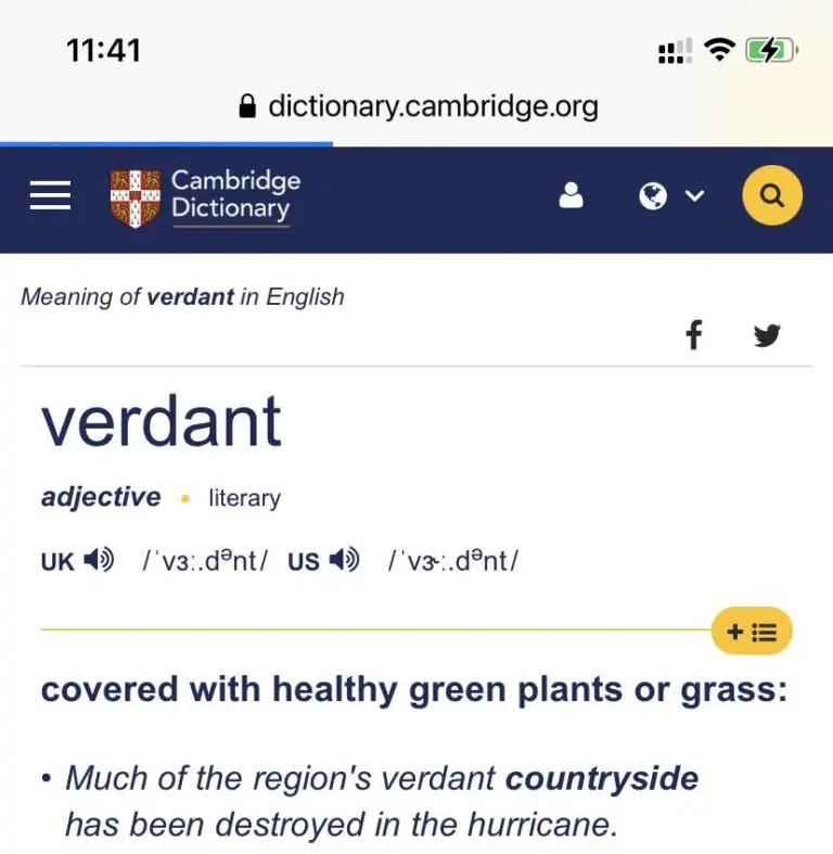 Verdant — vocabulary activity